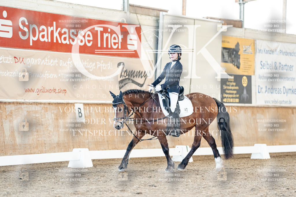 CK907912 | Turnierfotografie Pferdefotografie Trier Rheinland-Pfalz Pferdesport Reitsport Tierfotografie Sportfotografie Pferdevideo Pferdevideografie Equestrianvideography equestrianphotography  - Realisiert mit Pictrs.com