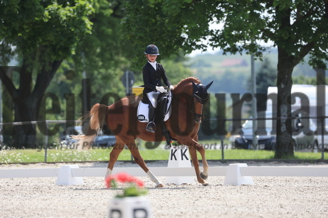 Rot am See_2024_Prfg.Nr.21_Qual.BCH_und_LCH_5-jähr.Ponys_Mary-Ann Hollenbach_Dein Traum (7) | Alle Fotos der Reiterjournal Fotografin Doris Matthaes im Reiterjournal Online-Fotoshop. - Realisiert mit Pictrs.com