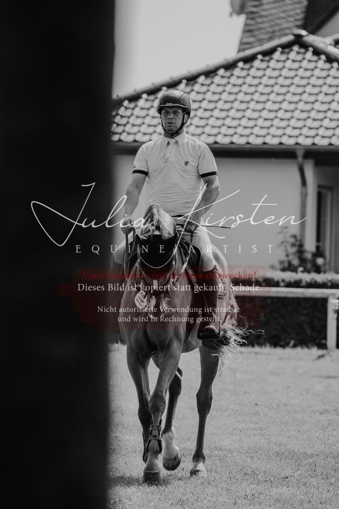DSC_0652 | Pferde- und Turnierfotografie in Westsachsen. Pferdeportraits, Auftragszeichnungen und intuitive Kunst.