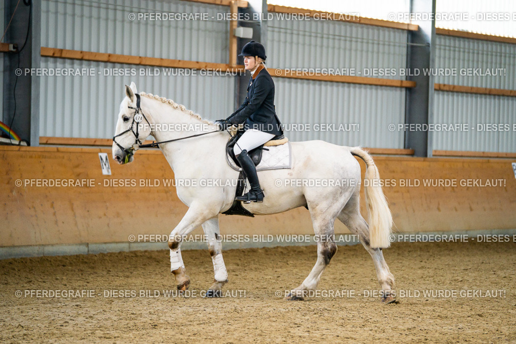 DSC00718 | Pferdegrafie