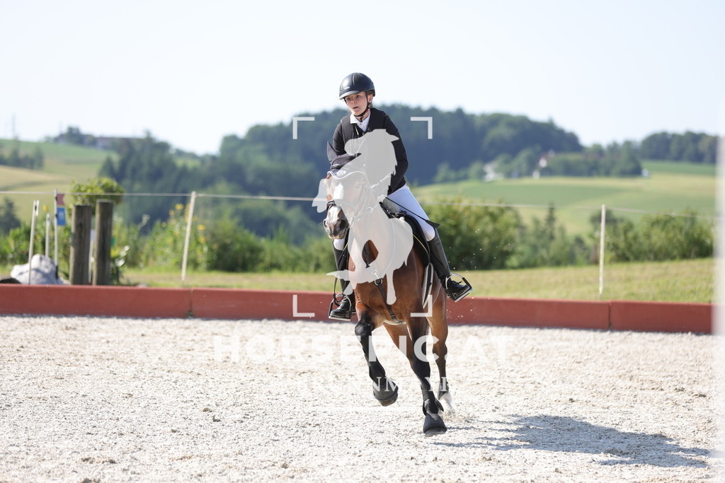 0P6A7356 | Willkommen bei Brunnmayr - Design & Fotografie – Ihrem Spezialisten für Reitturniere und Pferdeveranstaltungen in Oberösterreich, Salzburg und Bayern! Seit über 17 Jahren sind wir leidenschaftlich dabei.