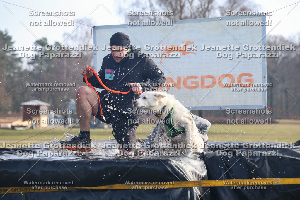 Dog Paparazzi - Strongdog North Mrz26-381 | Dog Paparazzi Jeanette Grottendiek Fotografie & Videografie - Realisiert mit Pictrs.com