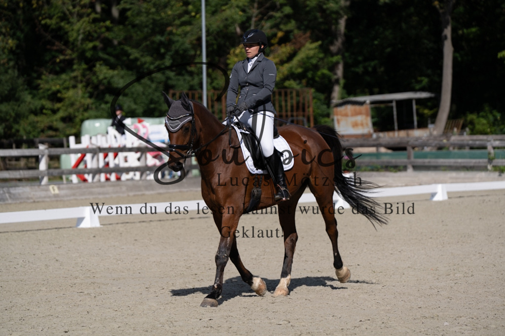 A7V07027 | Turnier/Reitfotograf