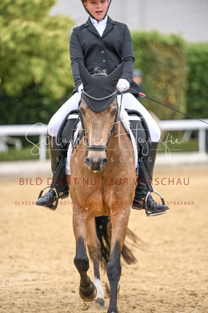 Schugtsche-Aluta25-41.Amat-Dressurprf.A_-525 | Schugtsche Fotografie - Realisiert mit Pictrs.com
