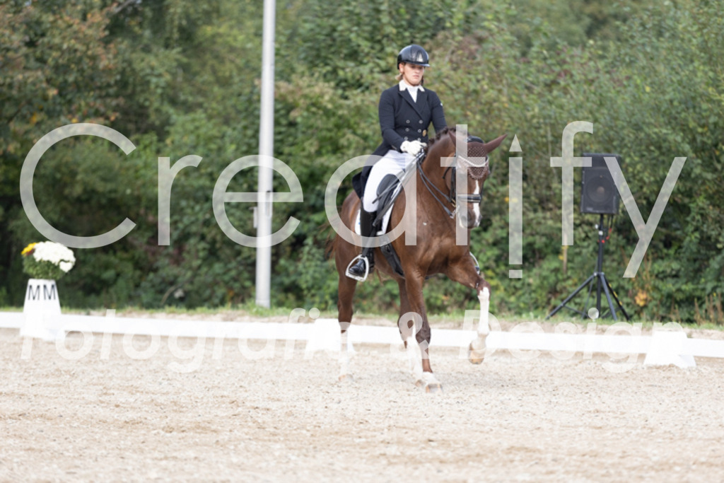 IMG_4656 | Creatify Fotografie