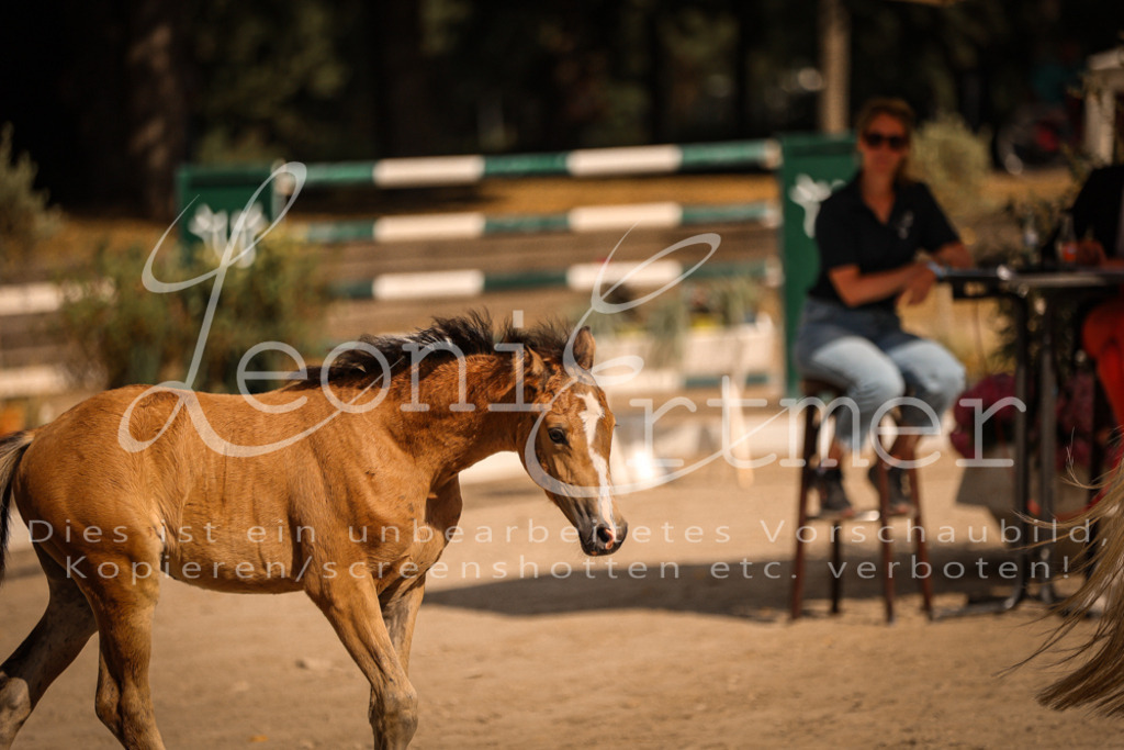 10.DoRP00140 | Leoni Ertmer Photography - Realisiert mit Pictrs.com