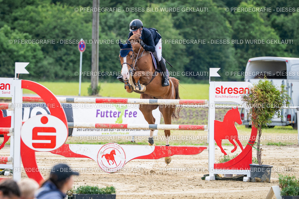 DSC07338 | Pferdegrafie