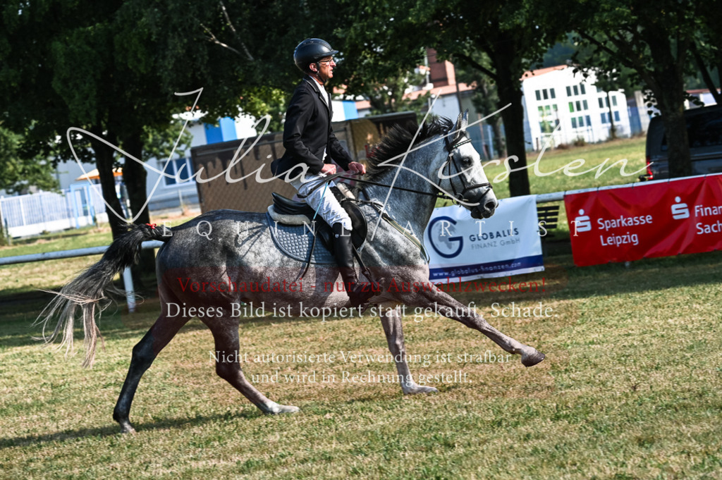 DSC_7491 | Pferde- und Turnierfotografie in Westsachsen. Pferdeportraits, Auftragszeichnungen und intuitive Kunst.