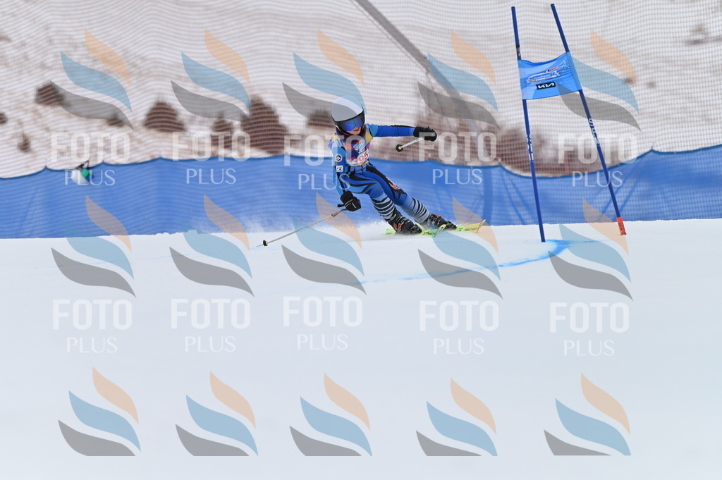 BGV_1661 | holidayphoto