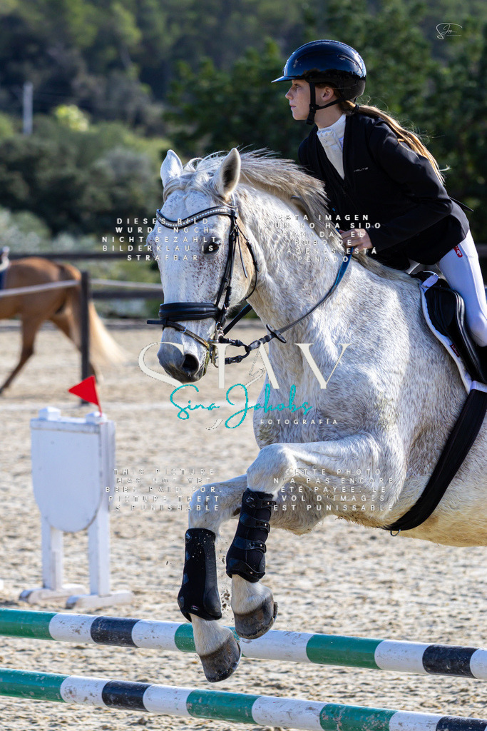 IMG_0536 | s-jay-photography - Realisiert mit Pictrs.com