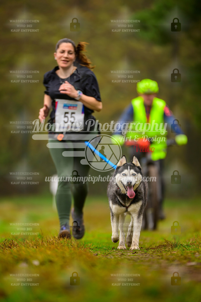 MompixPhotography_Bischwiller2025_Canicross-187 | mompixphotography