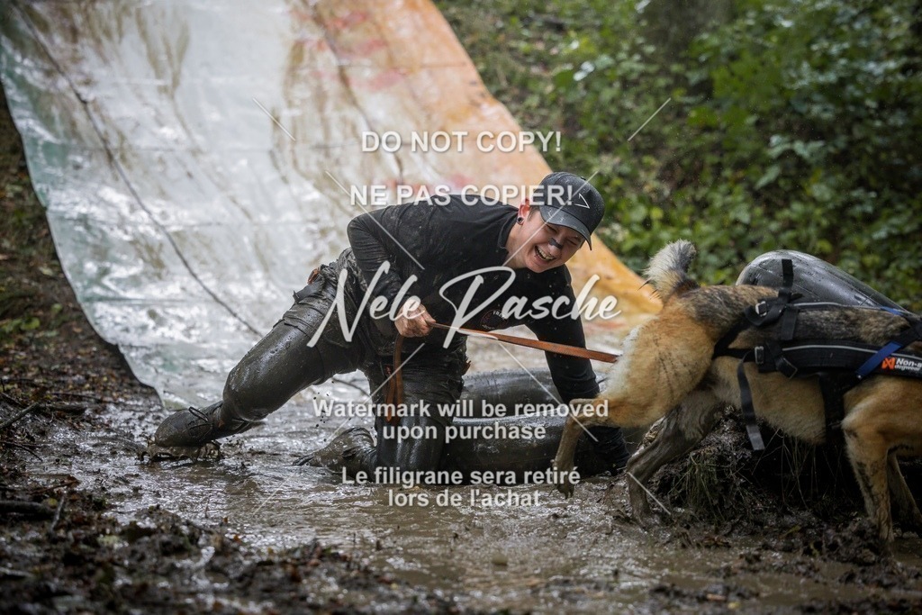 nelerasche_Hunsrück_Sa1300-1400_133-final | nelerasche