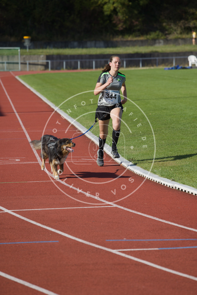 0L8A9216 | Hundefotografie, Tierfotograf, Pfotenfotografie, Fotoshooting Hund, Hunde Portrait, Hundesport, Hundeportraits, Heideshooting, Hunde, Sportfotograf, Hundefotograf, Turnierhundsport, THS,  - Realisiert mit Pictrs.com
