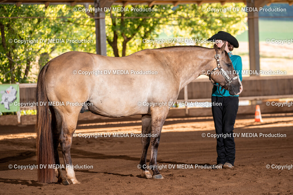 Erbach Tag 3-13 | dv-media-shop - Realisiert mit Pictrs.com