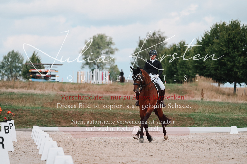 DSC_4368 | Pferde- und Turnierfotografie in Westsachsen. Pferdeportraits, Auftragszeichnungen und intuitive Kunst.