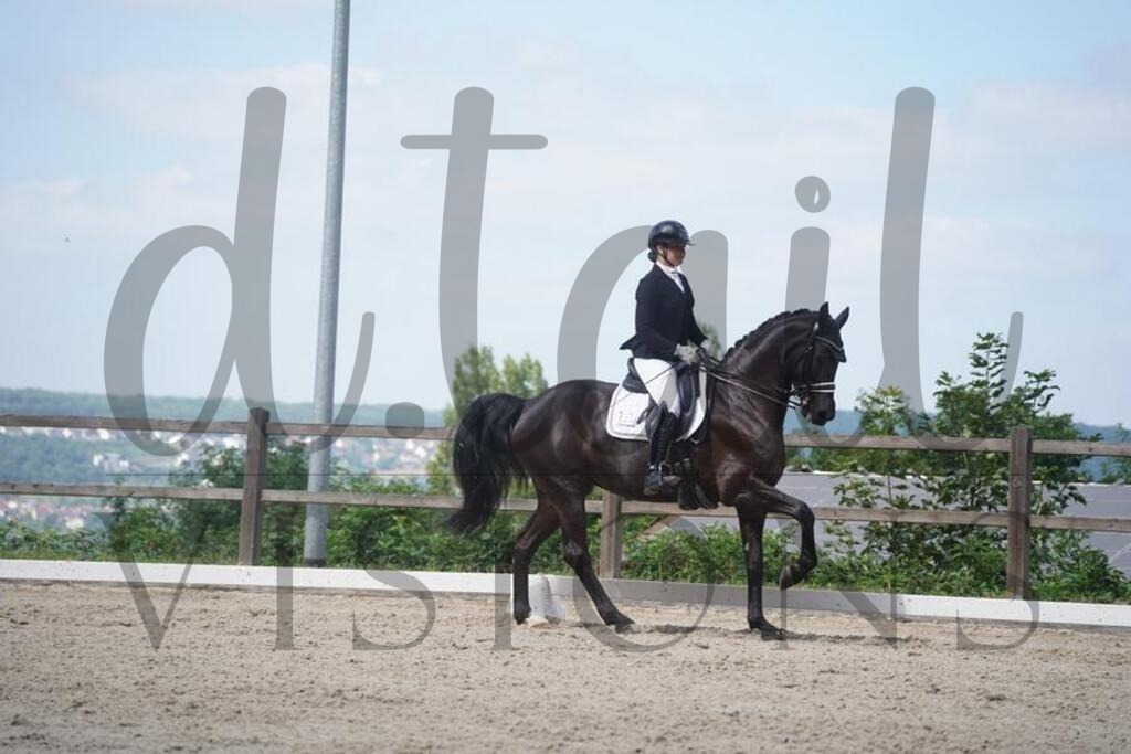 tgbhsonntag (702) | d.tail Visions - Shop - Realisiert mit Pictrs.com