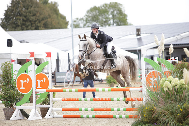 1J2A9473Jörgen Köhlbrandt_ Chat GPT 2_ Kn209_ Havekost | Foto- und Videografie für alles rund ums Pferd. Hochwertige Bilder und Videos vom Spring- und Dressurreiten, Voltigieren & mehr. Jetzt aktuelle Veranstaltungen und Preise im Shop ansehen. - Realisiert mit Pictrs.com