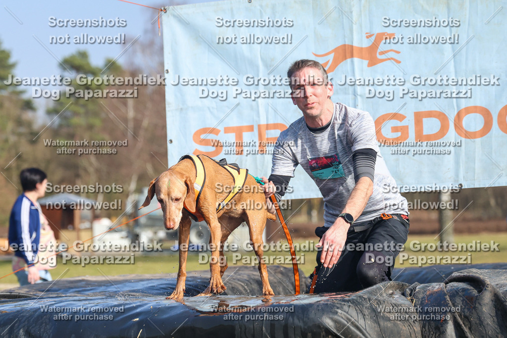 Dog Paparazzi - Strongdog North Mrz26-3098 | Dog Paparazzi Jeanette Grottendiek Fotografie & Videografie - Realisiert mit Pictrs.com