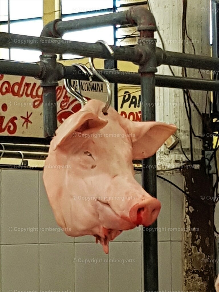 Schweinskopf | Schweinekopf, Schlachthaus, Schlachterei, Schweinekopf am Haken, geschlachtetes Schwein