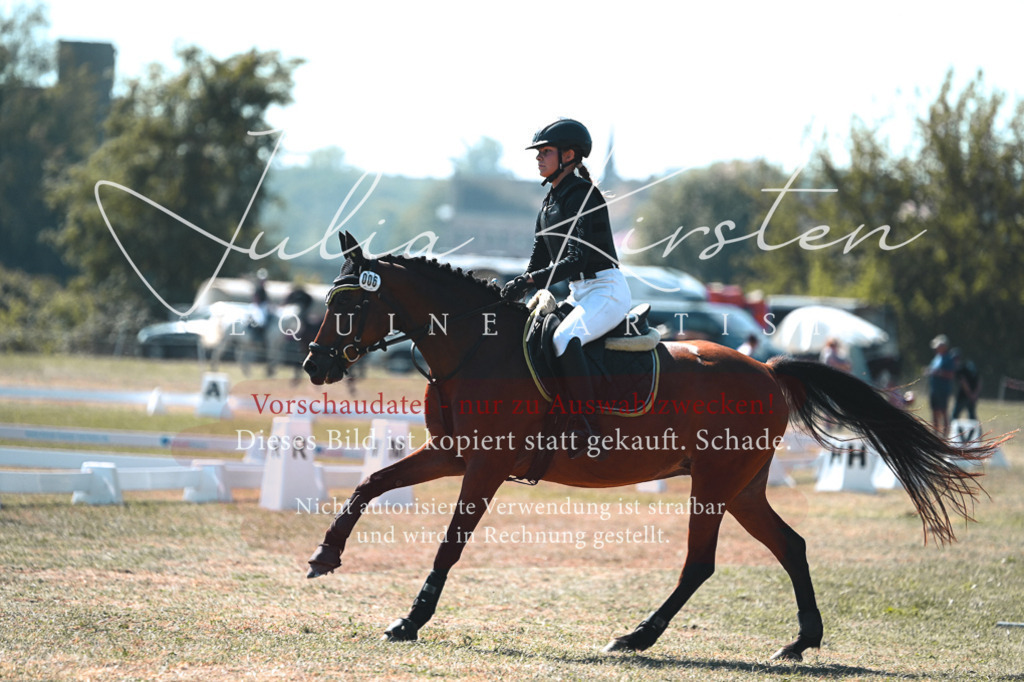 DSC_8159 | Pferde- und Turnierfotografie in Westsachsen. Pferdeportraits, Auftragszeichnungen und intuitive Kunst.