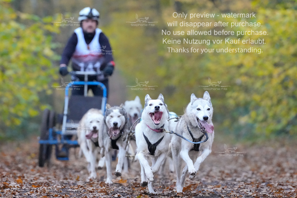 AusschnitteSo-15 | stephaniefillaphotographie - Realisiert mit Pictrs.com