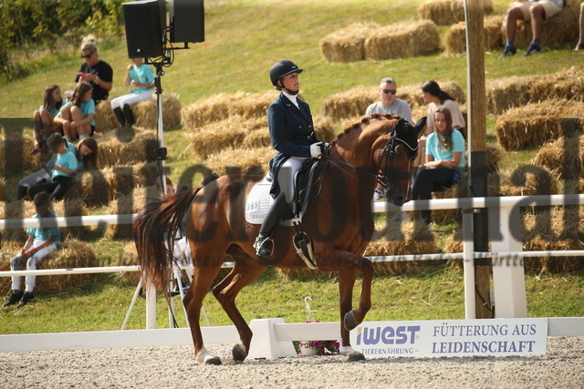 Birkhof_2022_GrandPrixSpecial_Nicole Casper_Birkhof_s Don Röschen FBW(3) | Alle Fotos der Reiterjournal Fotografin Doris Matthaes im Reiterjournal Online-Fotoshop. - Realisiert mit Pictrs.com