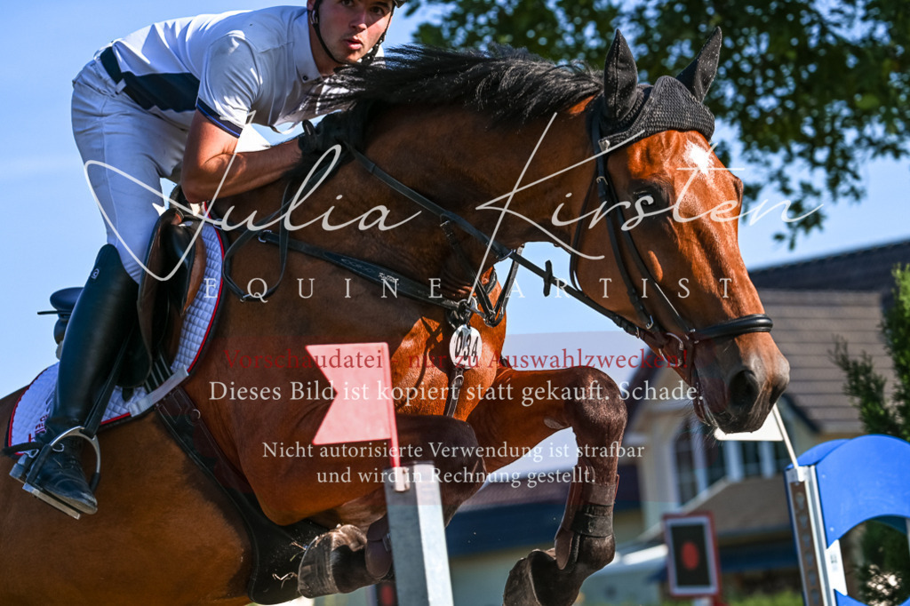 DSC_2684 | Pferde- und Turnierfotografie in Westsachsen. Pferdeportraits, Auftragszeichnungen und intuitive Kunst.