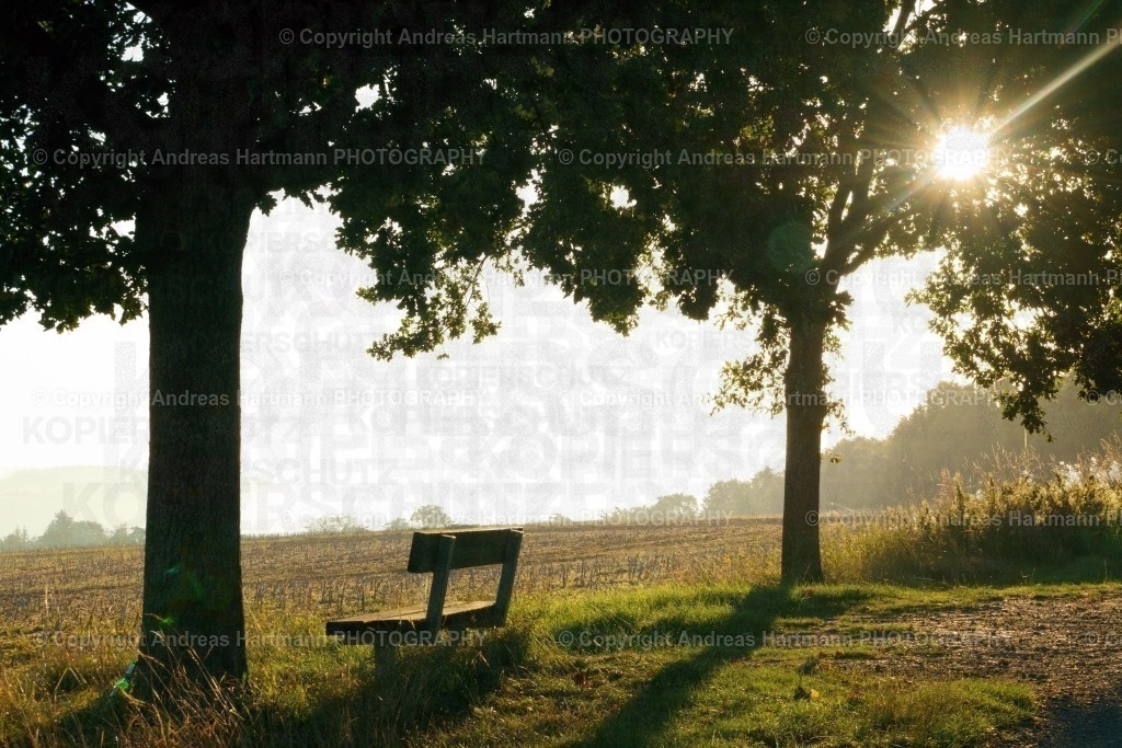 Morgensonne auf dem Eichberg | Morgensonne auf dem Eichberg - Realisiert mit Pictrs.com