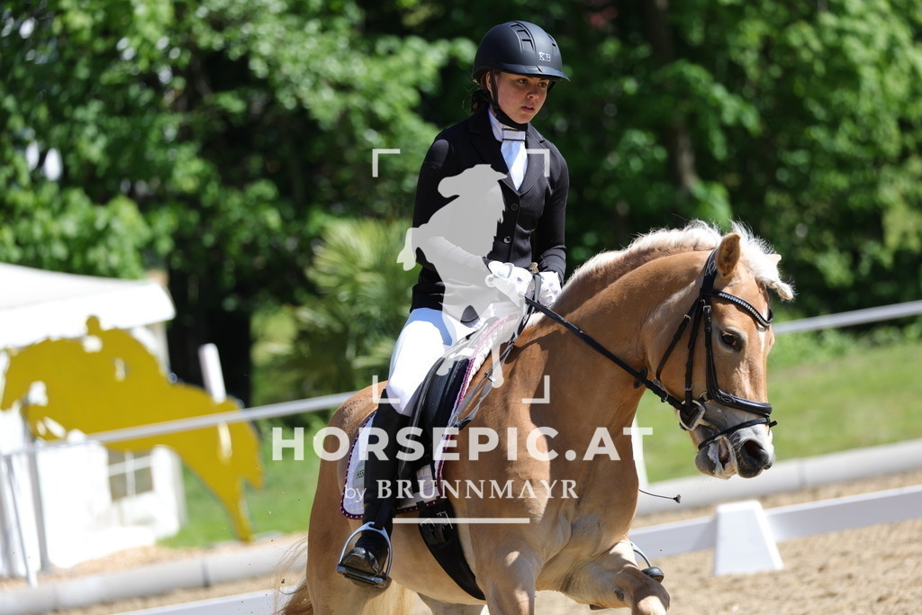 0P6A9939 | Willkommen bei Brunnmayr - Design & Fotografie – Ihrem Spezialisten für Reitturniere und Pferdeveranstaltungen in Oberösterreich, Salzburg und Bayern! Seit über 17 Jahren sind wir leidenschaftlich dabei.