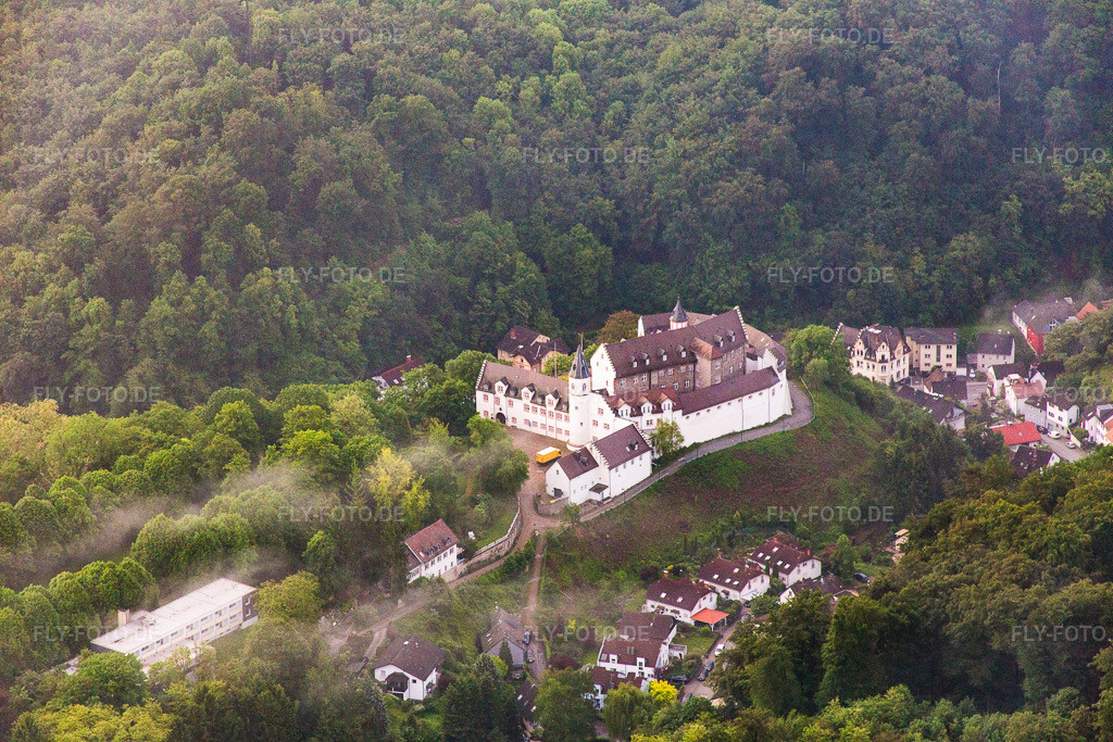 Luftbild: Schönberg, Schloß im Ortsteil Schönberg in Bensheim im Bundesland Hessen in Deutschland. Foto: IMG_089197.jpg vom 25.05.2016 durch Werner Riehm/FLY-FOTO.de