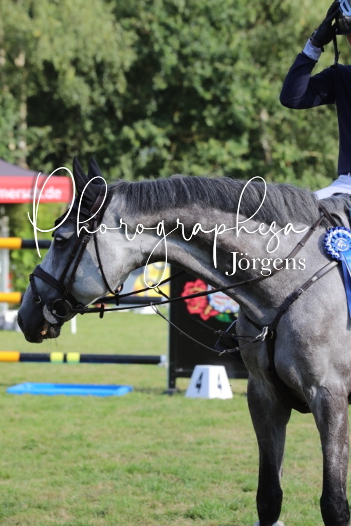 IMG_6286 | photographesa-joergens - Realisiert mit Pictrs.com