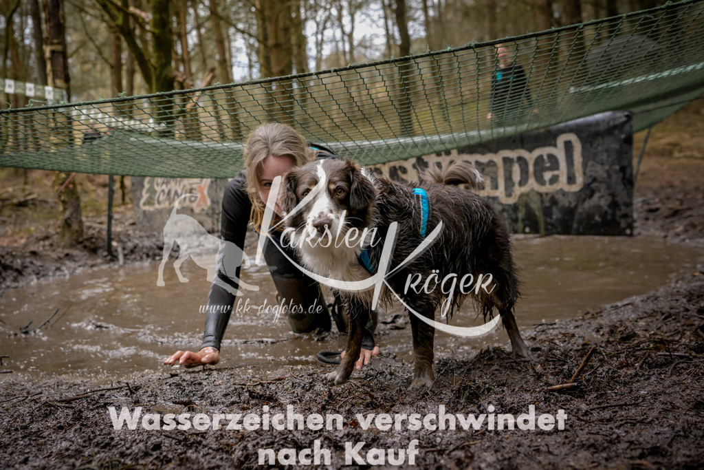 1052_ZZ92531 | kk-dogfotos