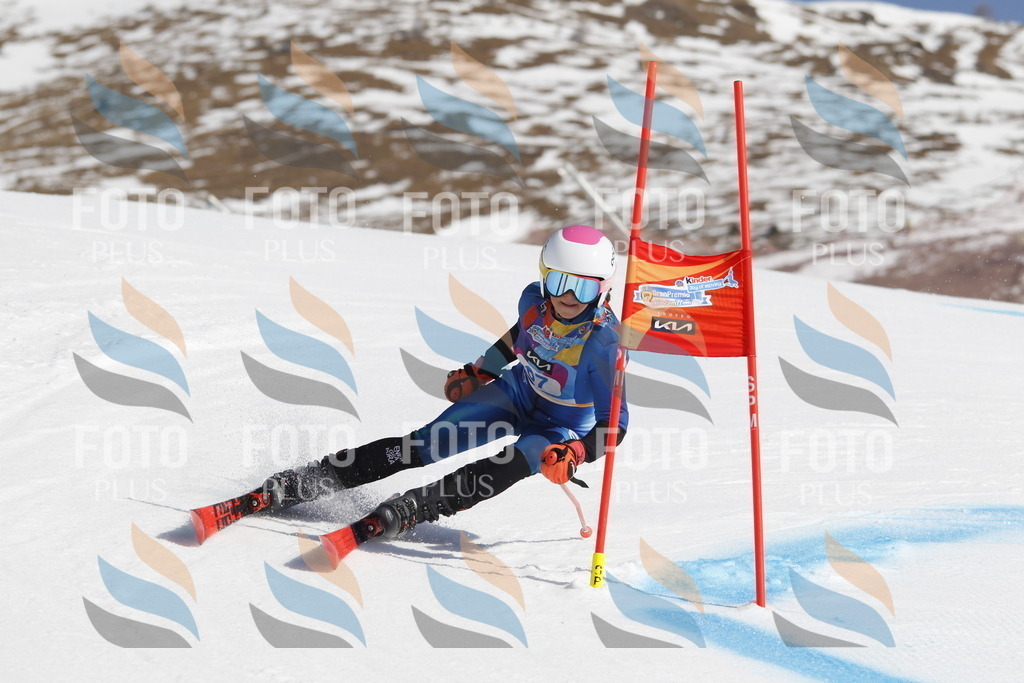 _U3G9757 | holidayphoto