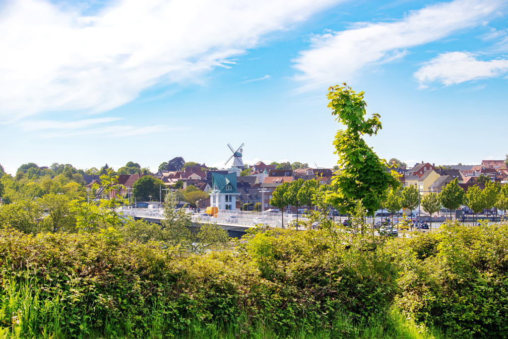 Wandbild: Schleibrücke und Windmühle in Kappeln | Dieses Wandbild im Querformat zeigt Kappeln im Frühling. Im Vordergrund sind Hecken, Gräser und Bäume zu sehen. In der Ferne befindet sich die Schleibrücke sowie die Windmühle.  - Realisiert mit Pictrs.com