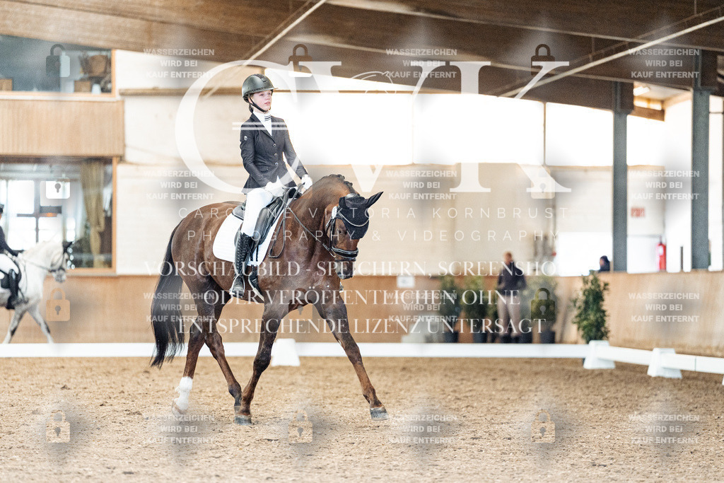 CK909514 | Turnierfotografie Pferdefotografie Trier Rheinland-Pfalz Pferdesport Reitsport Tierfotografie Sportfotografie Pferdevideo Pferdevideografie Equestrianvideography equestrianphotography  - Realisiert mit Pictrs.com