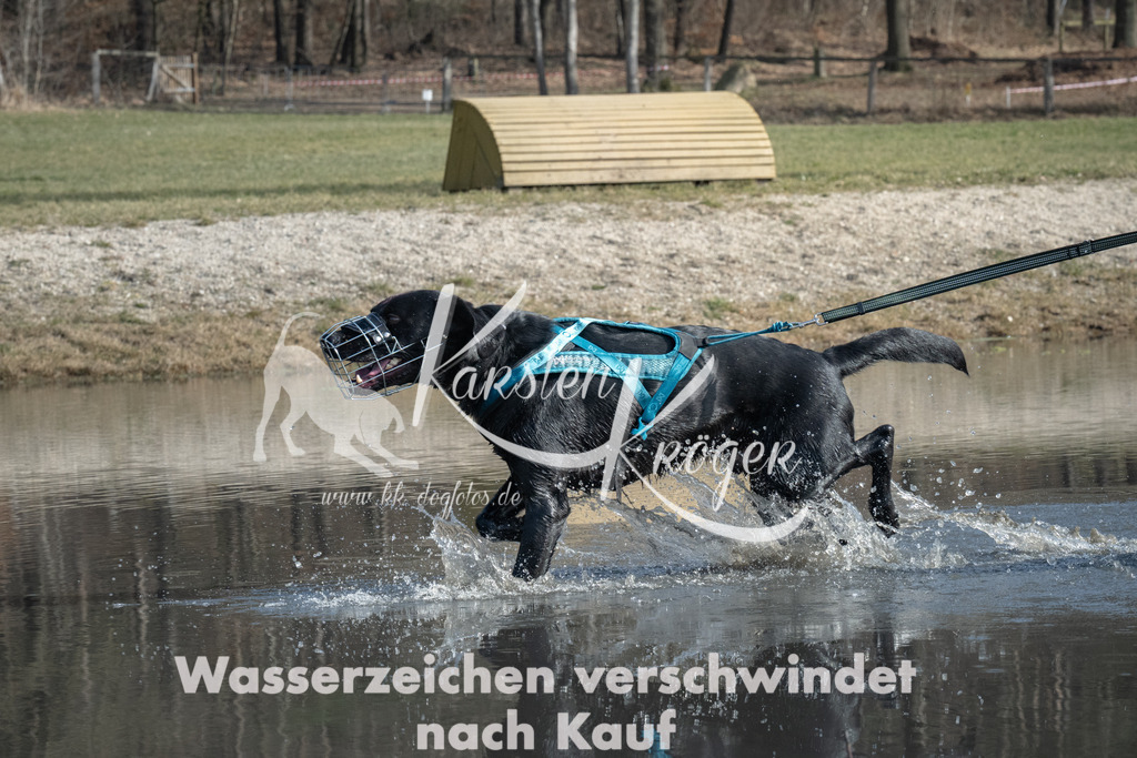 1210_ZZ98321 | kk-dogfotos