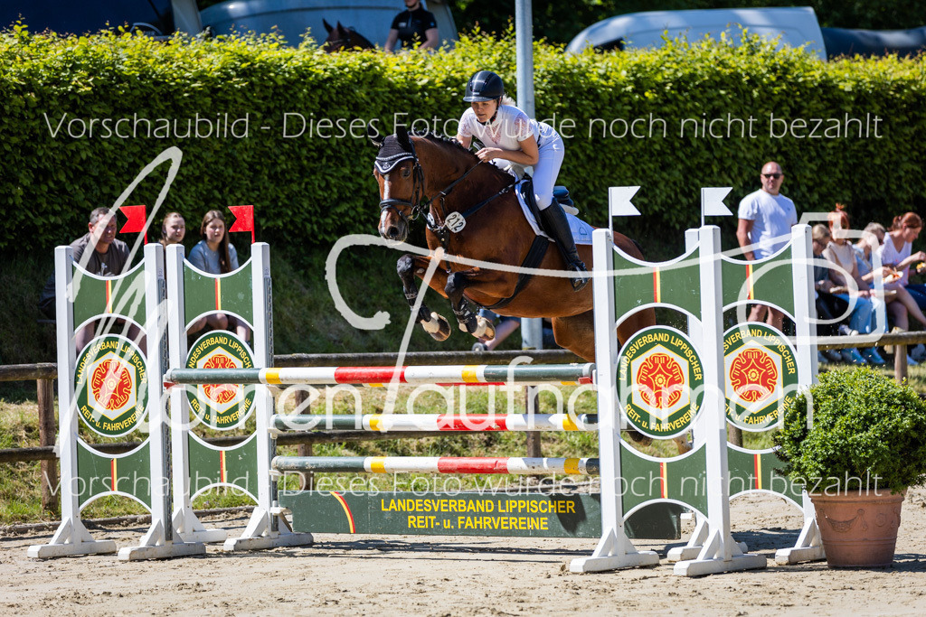 Donop24-Stil-L-010 | MomenTaufnahmen Pferdesportfotos