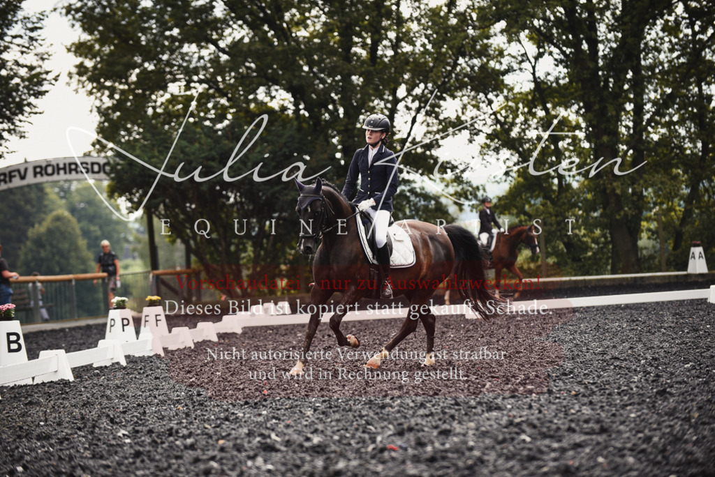 DSC_3945 | Pferde- und Turnierfotografie in Westsachsen. Pferdeportraits, Auftragszeichnungen und intuitive Kunst.