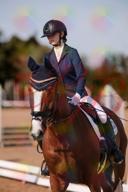 2026_10_03_Siefer-Hof_123446_Z81_33185459 | Professionelle Reitsport-, Turnier- und Eventfotografie von Robert Broda. Galerien mit ausgewählten und bearbeiteten Bildern direkt online ansehen und bestellen.