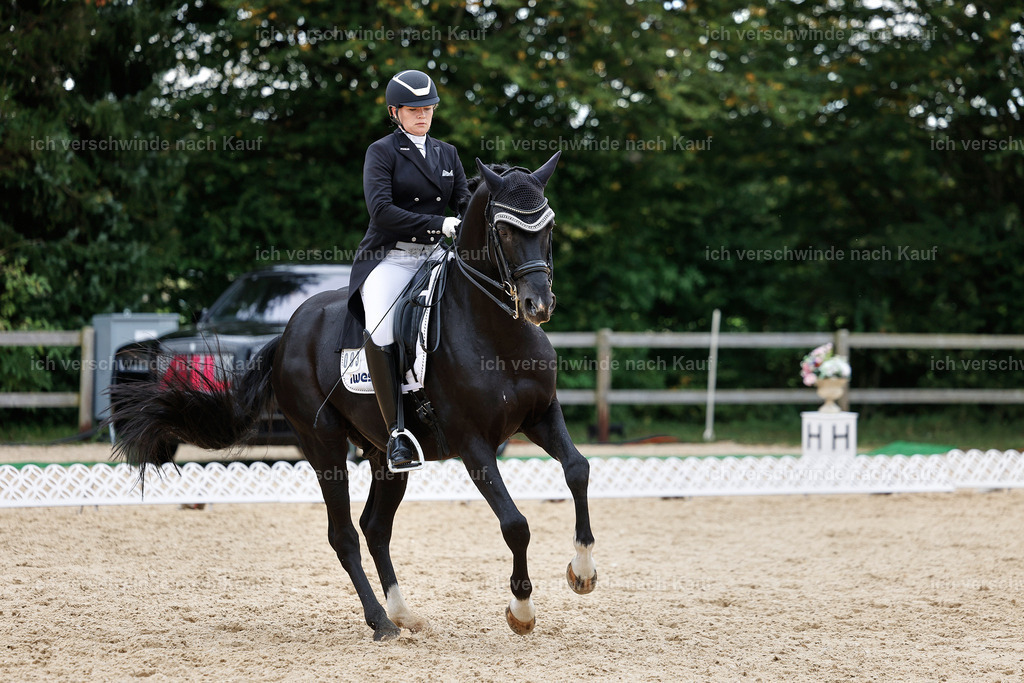 11-093-Dressur S___-StoibPH-1351 | working equitationturnier fotograf videograf stoibphotography marixx film working equitation deutschland reitsport turnierfotografie eventfotografie equestrian events