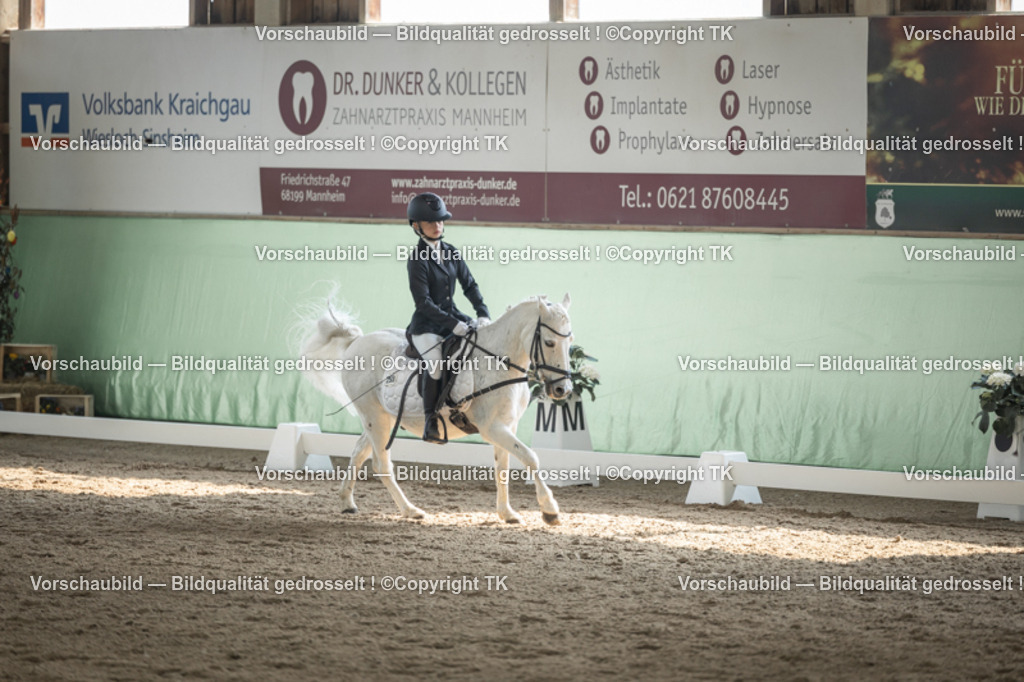 _D5A5676 | Emotionale Pferde- & People-Fotografie rund um Heidelberg, Leimen & Umgebung. Natürliche Fotos von Pferd, Mensch & Familie. Jetzt Termin sichern!