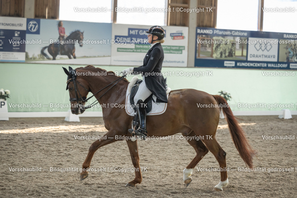 _D5A0585 | Emotionale Pferde- & People-Fotografie rund um Heidelberg, Leimen & Umgebung. Natürliche Fotos von Pferd, Mensch & Familie. Jetzt Termin sichern!