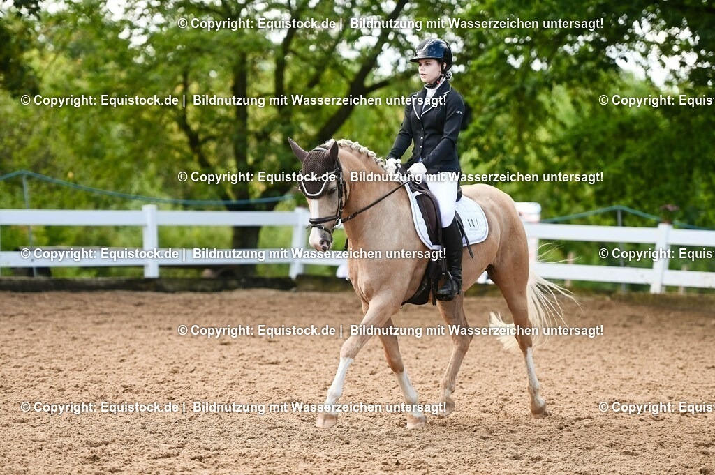 20230716_04_Dressurreiterprüfung Kl.A_0393 | equistock