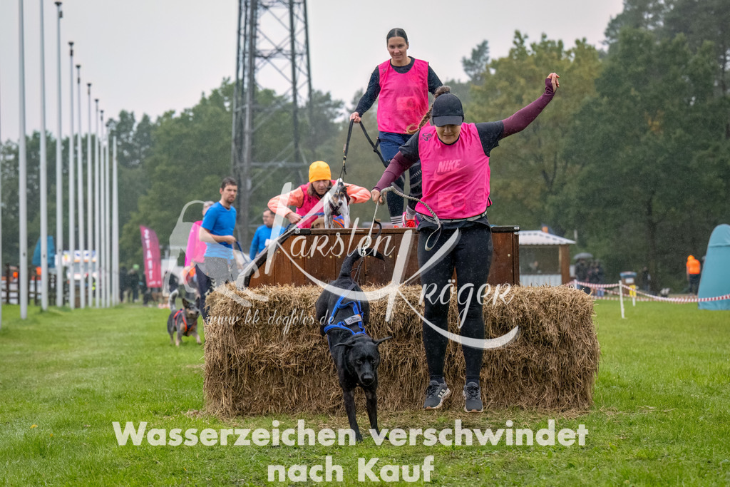 1005--19 | kk-dogfotos