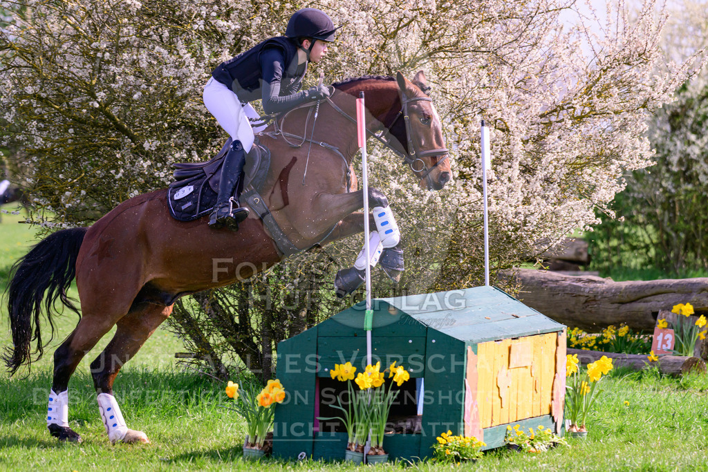 18042026-Gernlinden-04-1-0112 | Fokus Hufschlag Fotografie - Realisiert mit Pictrs.com