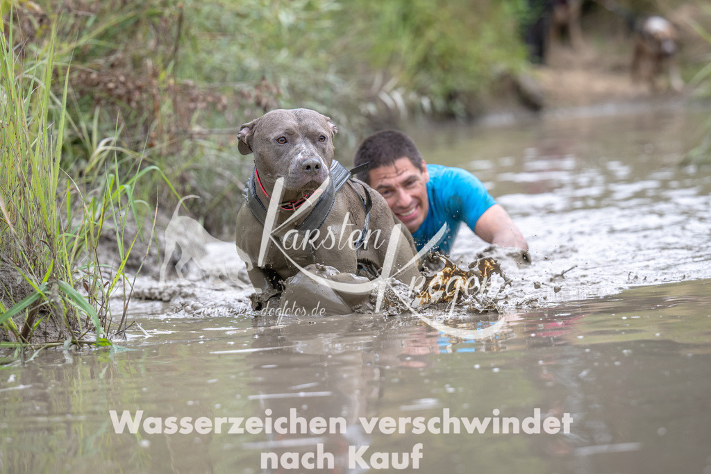 1233_ZZ90118 | kk-dogfotos