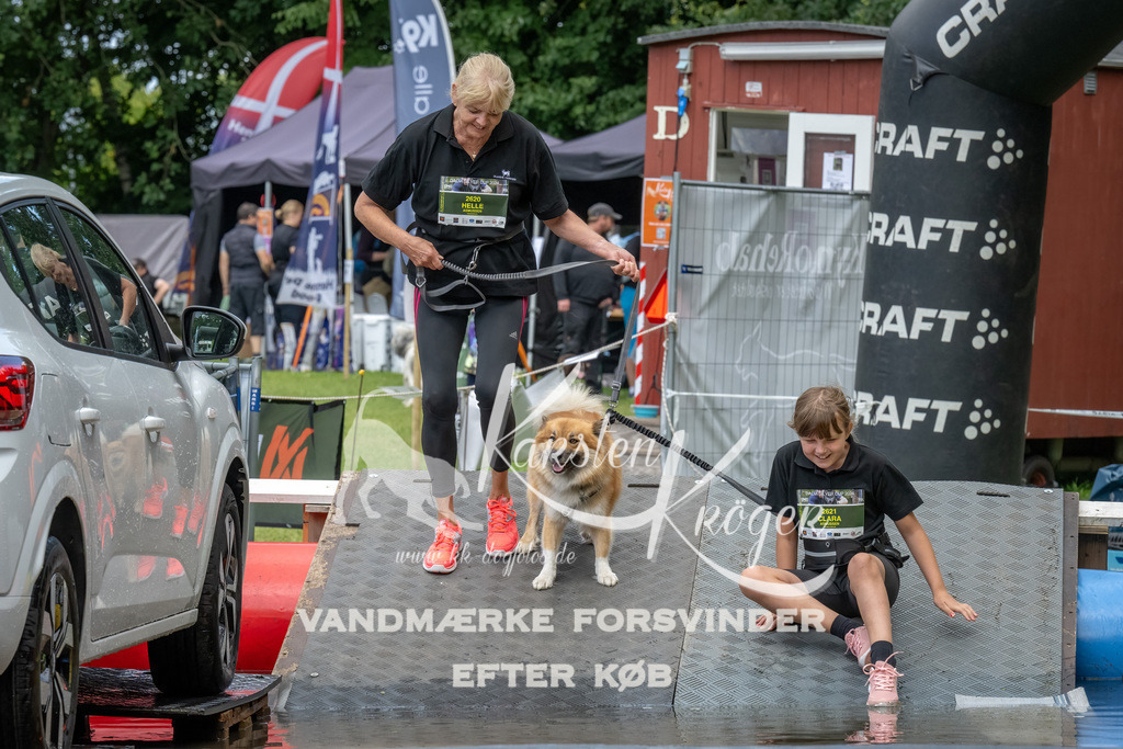 1445_ZZ92287-Bearbeitet | kk-dogfotos