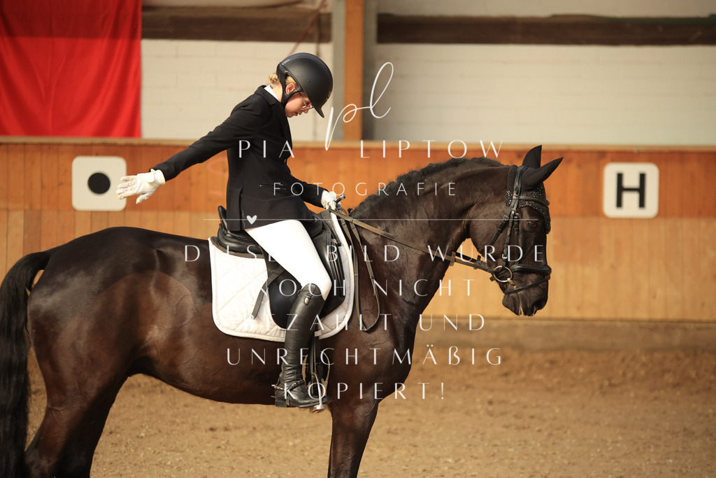 IMGT1711 | pl-fotografie