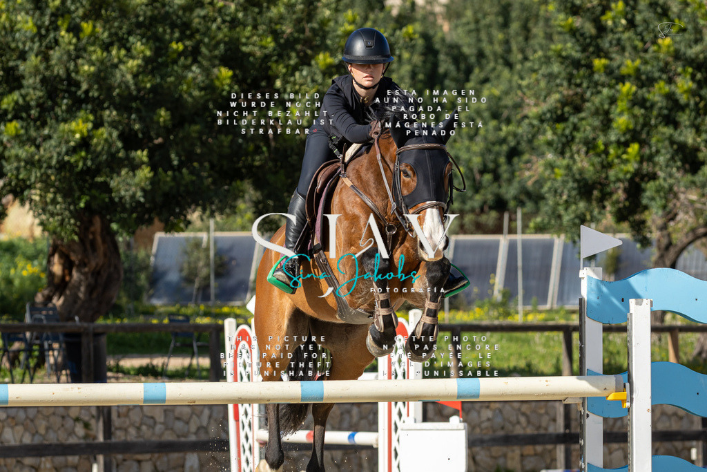 IMG_6901 | s-jay-photography - Realisiert mit Pictrs.com