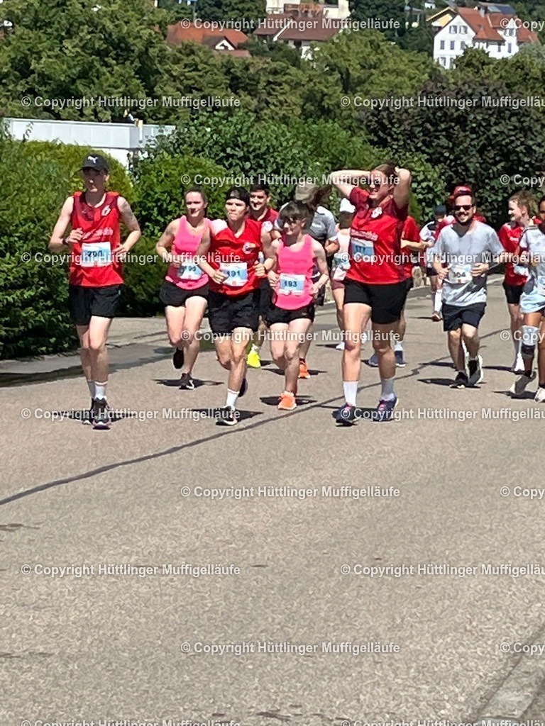 e9a7f768-aa70-47d0-9124-8386315eef8d | Hüttlinger Muffigelläufe - Realisiert mit Pictrs.com